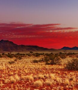 Northern Cape